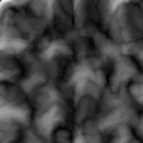 imagesTW1Oct8Scale10_seedFrequency