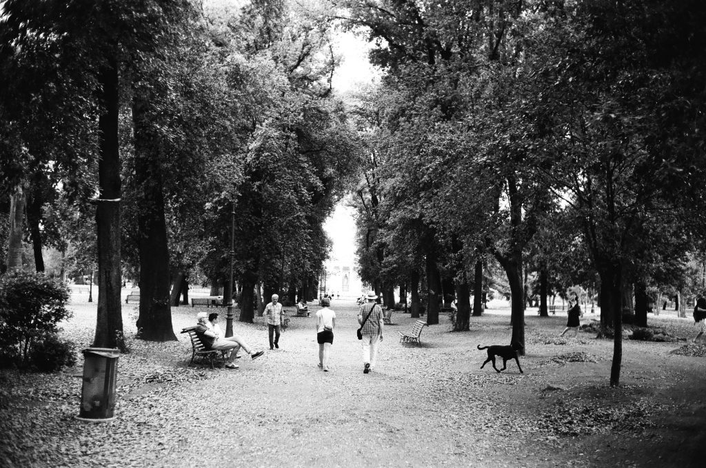 Roma08